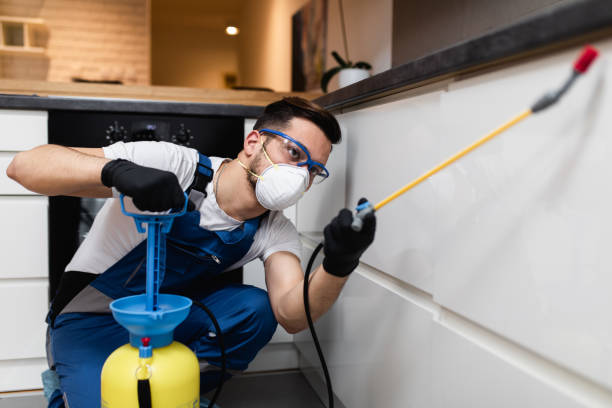 Best Affordable Pest Control Services  in Aromas, CA
