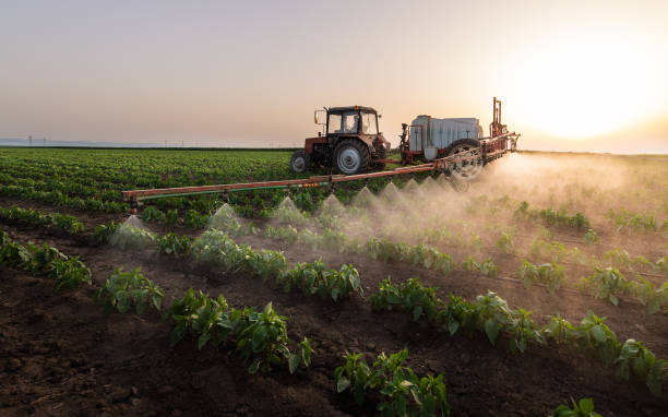Professional Pest Control in Aromas, CA