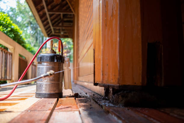 Best Wasp Removal Services  in Aromas, CA